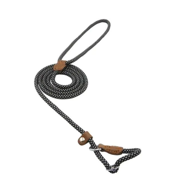 Nylon Pup SetNylon Pup Setabcd – Ease4Paws